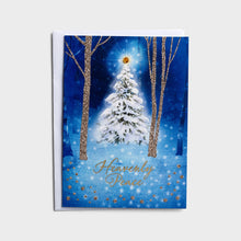 Load image into Gallery viewer, J8855 CHRISTMAS SNOWY SCENES DUAL PACK - NIV/NKJV