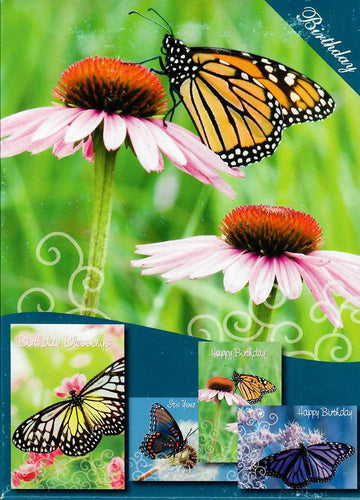 H11387 BIRTHDAY BUTTERFLY BLOOMS