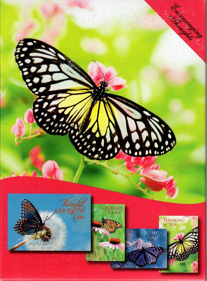 H11488 ENCOURAGEMENT BUTTERFLY BLOOMS