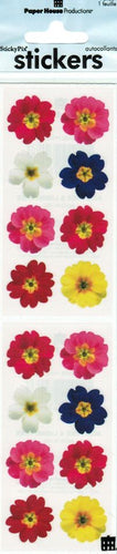 2106E - STICKER PRIMROSE