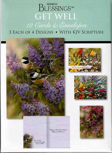 S22116 - GET WELL - BIRDS IN THE GARDEN - KJV