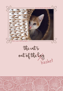 F23462 - Faithfully Yours Curious Kittens - Birthday 12 Cards with KJV Scripture