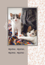 Load image into Gallery viewer, F23462 - Faithfully Yours Curious Kittens - Birthday 12 Cards with KJV Scripture