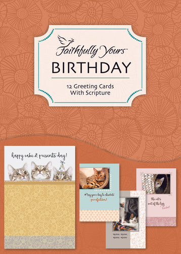 F23462 - Faithfully Yours Curious Kittens - Birthday 12 Cards with KJV Scripture