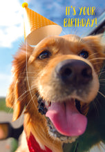 Load image into Gallery viewer, F23494 - Faithfully Yours Playful Pals - 12 Birthday Cards W/Scripture 4 Designs