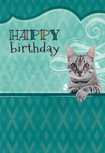 Load image into Gallery viewer, F23514 - Furry Friends - Birthday - KJV