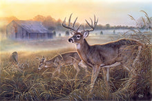 Load image into Gallery viewer, 40012 - CUTTING BOARD (3) ASSORTED DEER