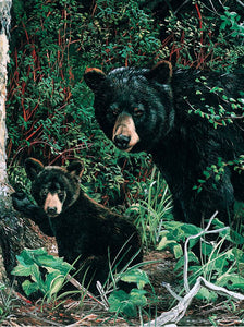 40039 - CUTTING BOARD (3) ASSORTED BLACK BEAR