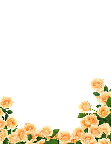 41003 - DESIGNER PAPER - ORANGE ROSE DELIGHT