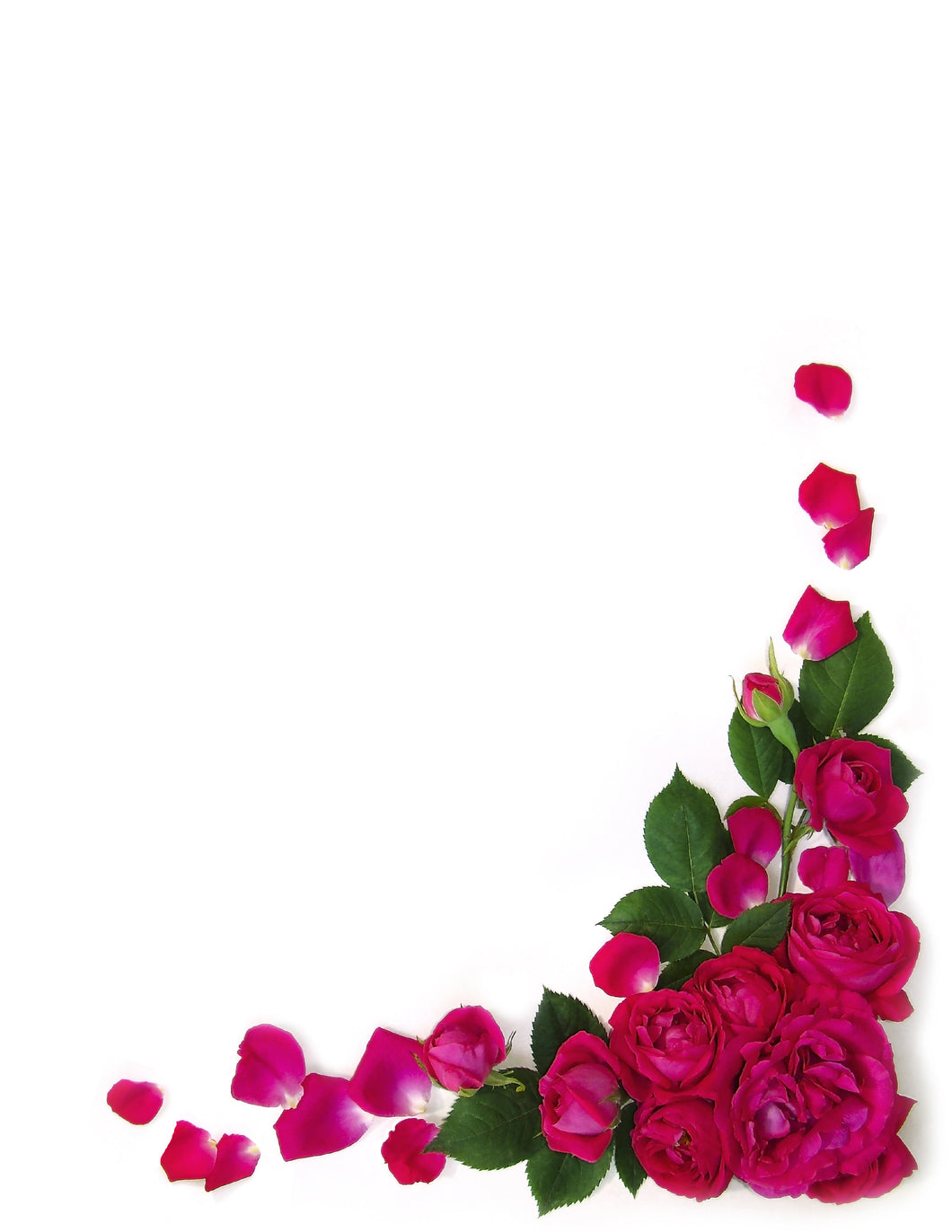 41004 - DESIGNER PAPER - SPRAY OF RED ROSES