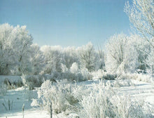 Load image into Gallery viewer, 54988 - ATTENDANCE CHART WINTER SCENE