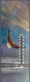 62434 - THERMOMETER EAGLE