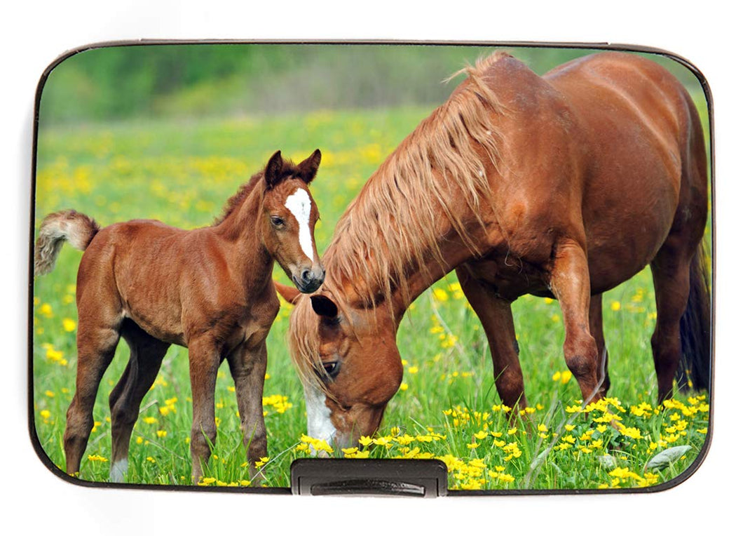 71874 - ARMORED WALLET - BAY WITH FOAL