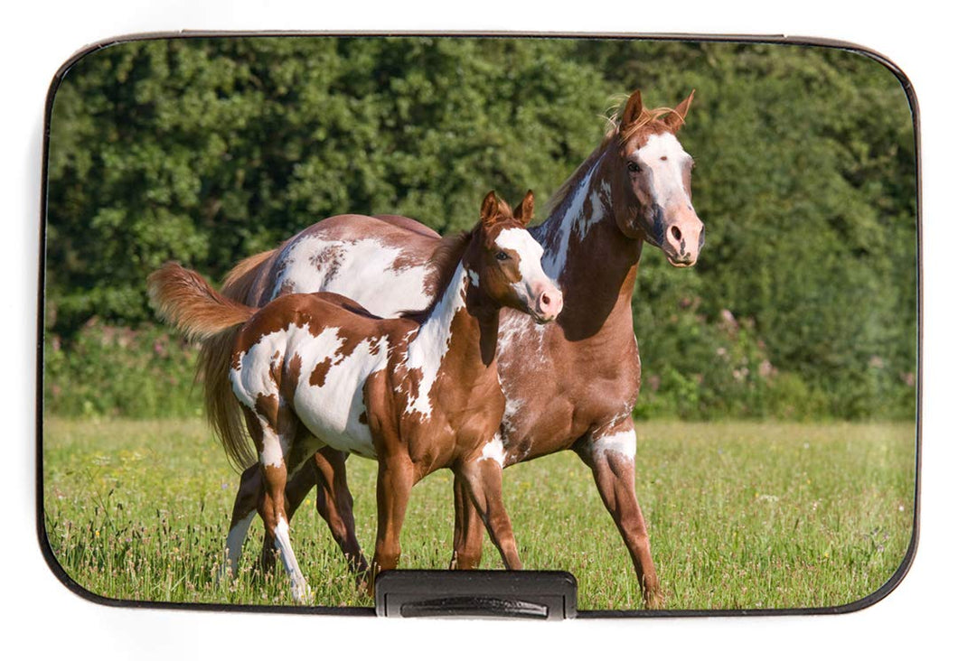 71873 - ARMORED WALLET - PAINT Horse with foal