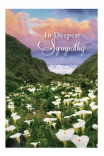 Load image into Gallery viewer, F81381 - SYMPATHY - TRANQUILITY - KJV
