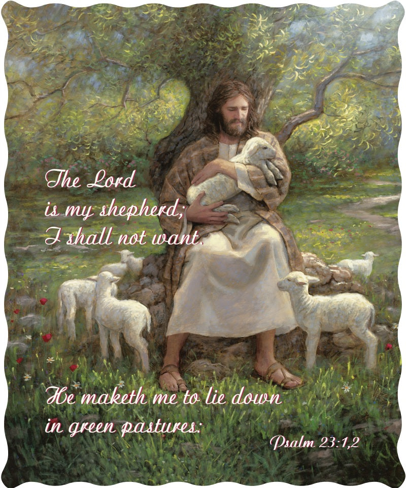 Psalm 23, Cotton Throw 