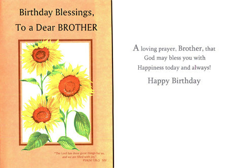 FFG025 - 12 PK COUNTER CARD - BROTHER BIRTHDAY - KJV