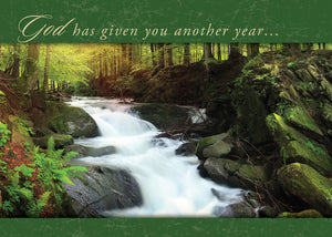 G3153 - WARNER PRESS Faithful Falls - Birthday Cards 12 Cards w/NIV Scripture