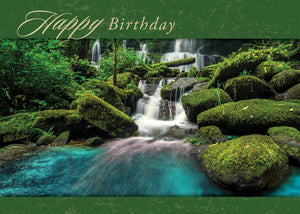 G3153 - WARNER PRESS Faithful Falls - Birthday Cards 12 Cards w/NIV Scripture