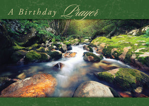 G3153 - WARNER PRESS Faithful Falls - Birthday Cards 12 Cards w/NIV Scripture