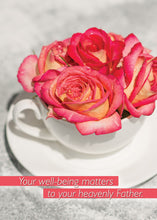 Load image into Gallery viewer, G3253 - WARNER PRESS Steeped in Blessings - Get Well 12 Cards W/KJV Scripture