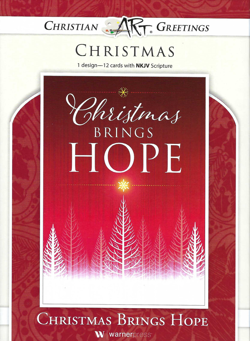 G9231X - Christmas Brings Hope, John 10:10 (NKJV) - Christmas Greeting Cards - Motivational Bible Verse Cards - Scripture Cards with Bible Verses - Box of 12