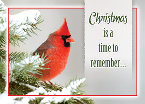 G9282X - CHRISTMAS BIRDS - KJV