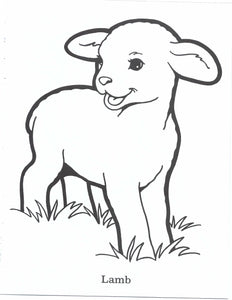 41022 - GOD MADE THE ANIMALS - COLORING BOOK