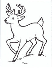 Load image into Gallery viewer, 41022 - GOD MADE THE ANIMALS - COLORING BOOK
