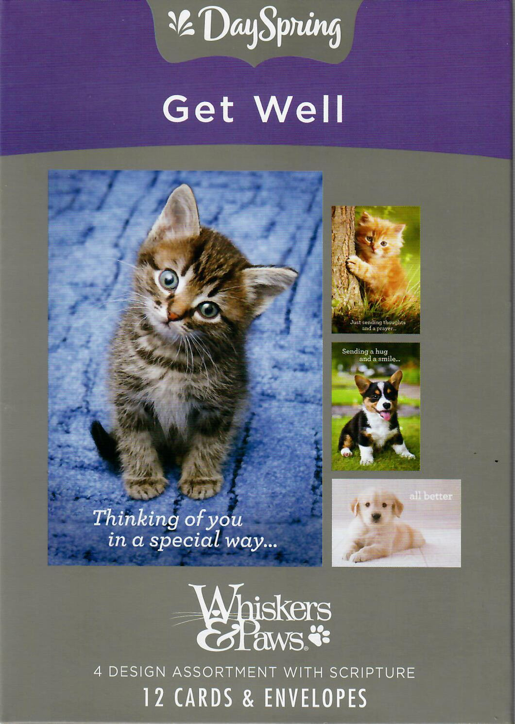 J3349 - Whiskers & Paws - Get Well - KJV