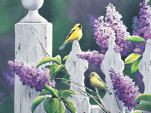 51938 - SUMMER LILACS - 500 PC PUZZLE