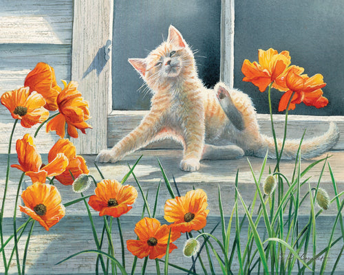 51952 - KITTEN AND POPPIES - 50 PC PUZZLE