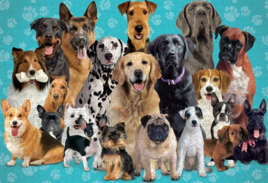 0062 - DOGS - 1000 Piece Puzzle