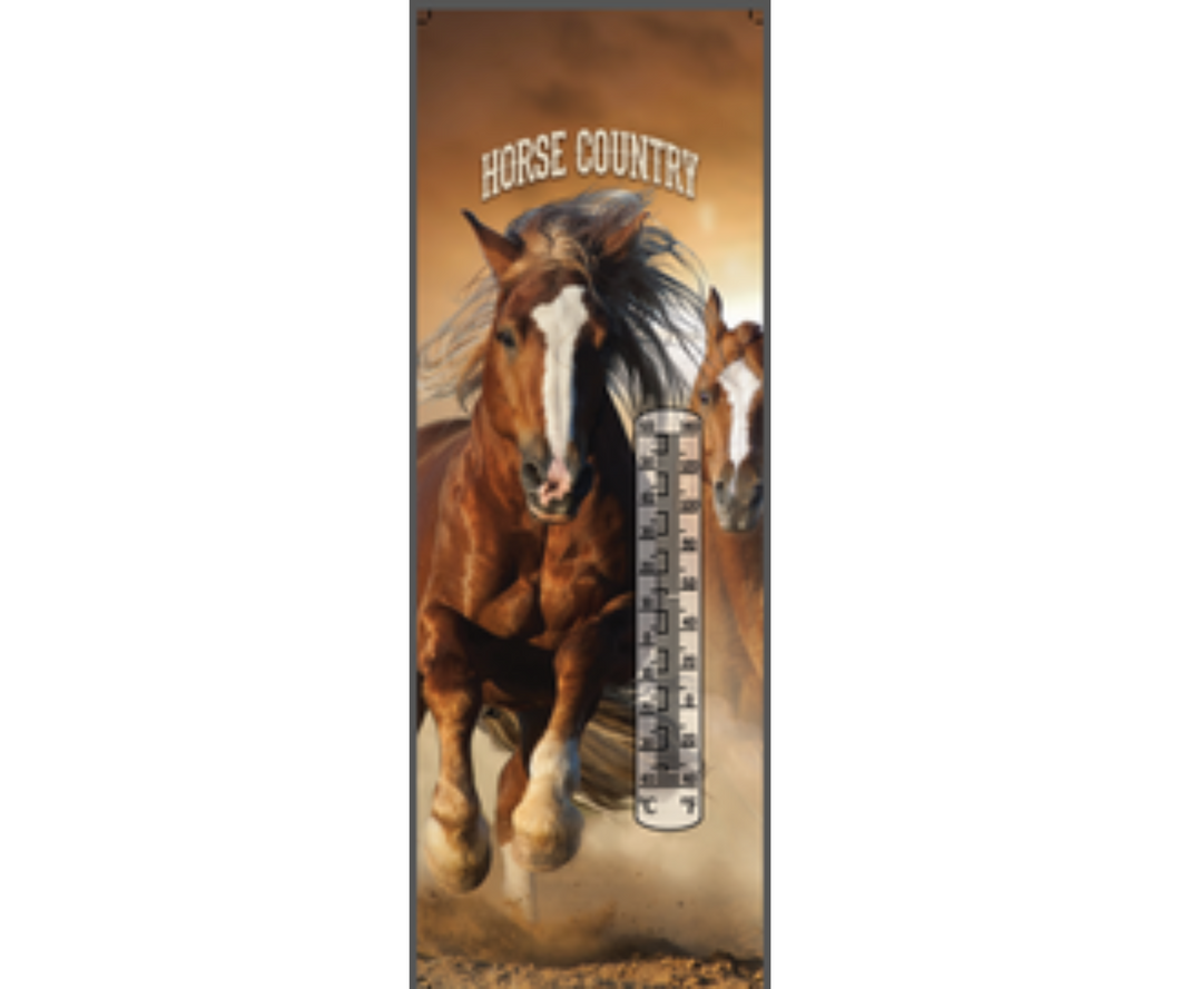 62432 - THERMOMETER HORSE COUNTRY